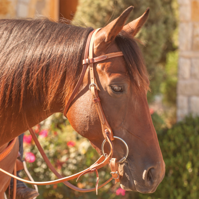 Fonkeling breed Beschrijven Western hoofdstel | EURO-HORSE - EURO-HORSE western riding supplies