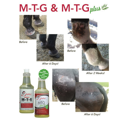 prodotti Cura del cavallo