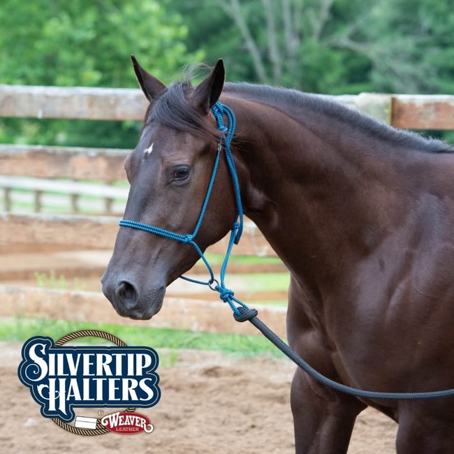 Silvertip Silvertip Transition Rope Halter met Sliding Ring