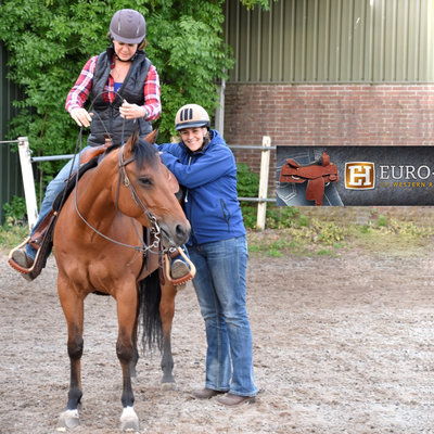 écoles d'équitation