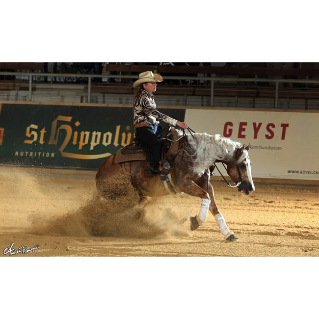 Perrine Prevost Reining Horses