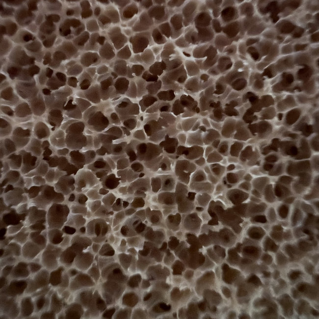 Dry Cleaning Pad Sponge