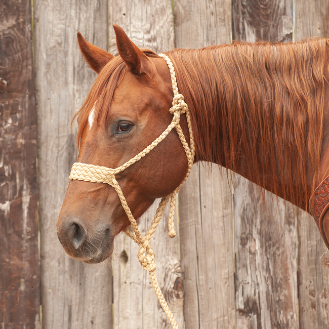 Classic Equine Wide nose braided rope halter with leadrope