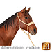 Classic Equine Wide nose braided rope halter with leadrope