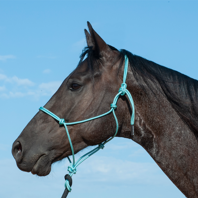 Classic Equine Premium Rope Halter