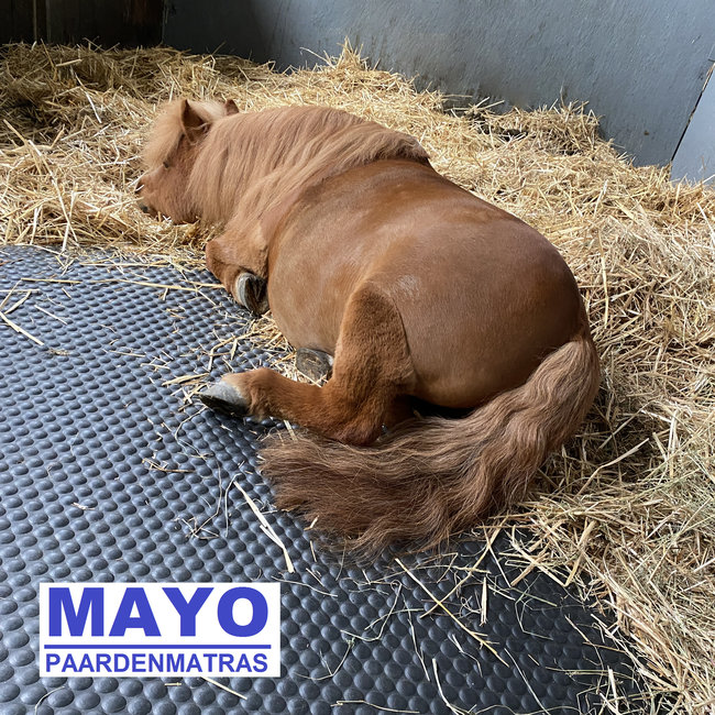 MAYO Paardenmatras kunststof opsluitbalk