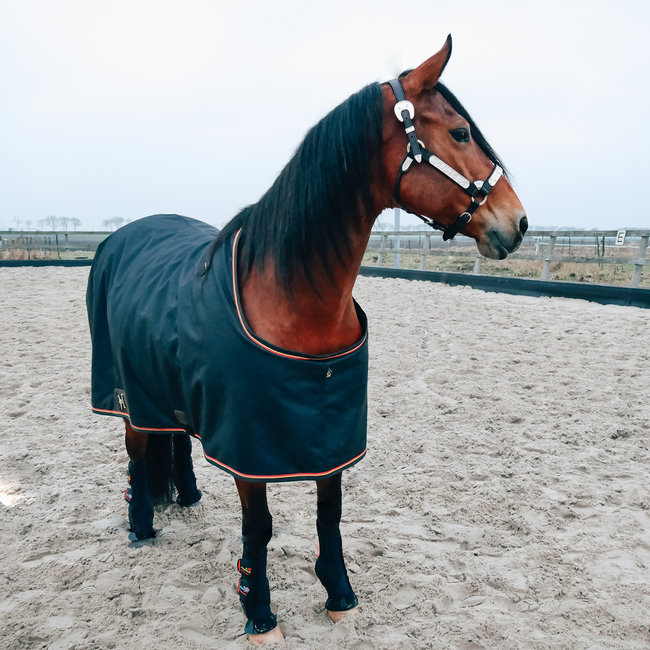 eQuick Stable Boots Aero-Magneto