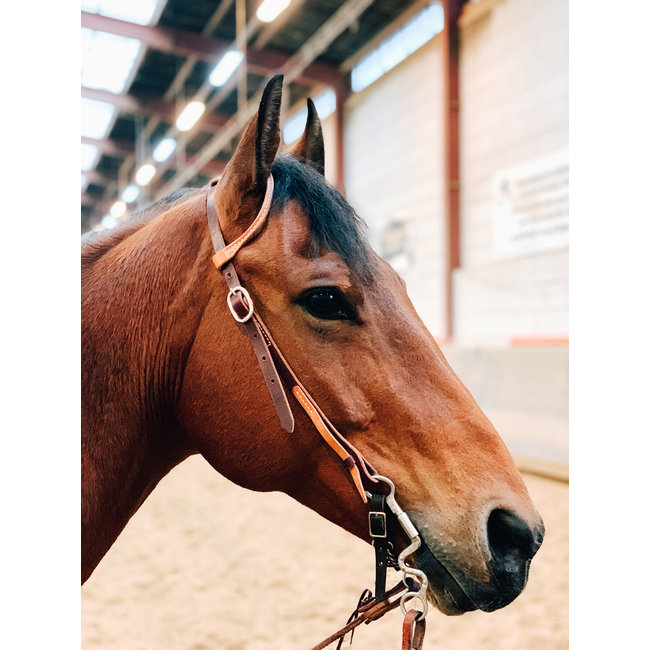 Western Rawhide Quick Change Slide Ear Headstell