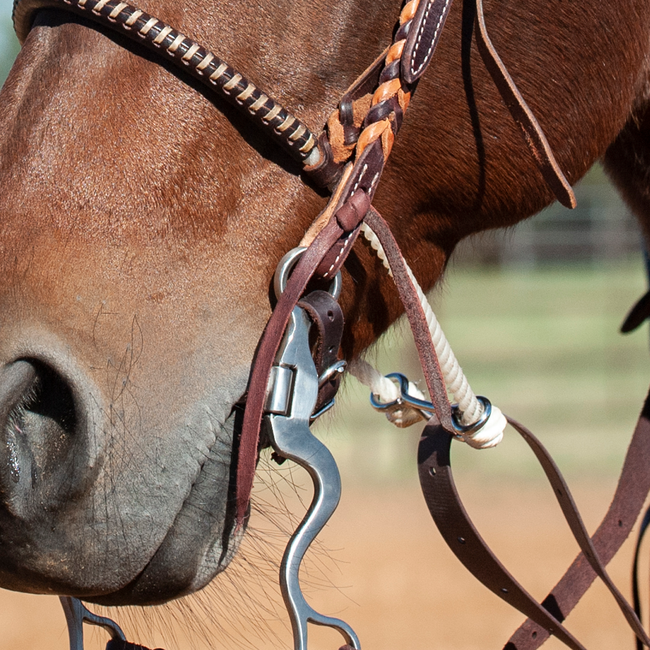Berlin custom leather Vervangende ties, set van 2
