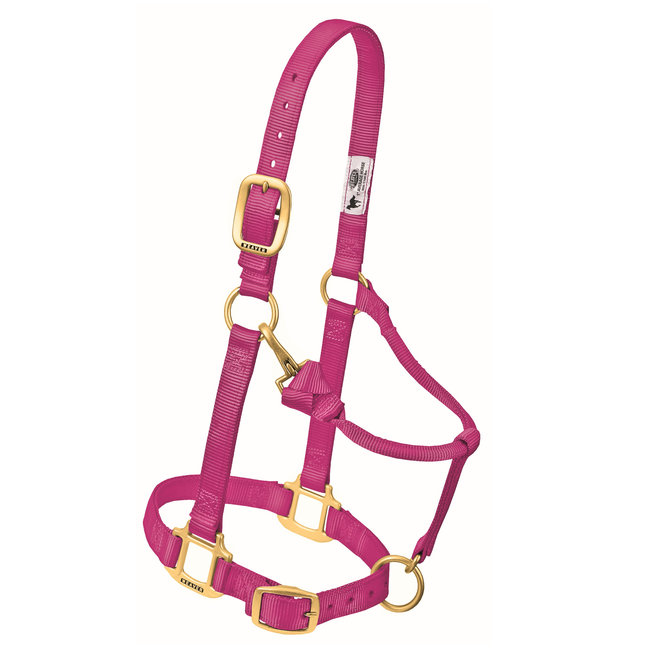 Weaver Leather Halster Weaver Small