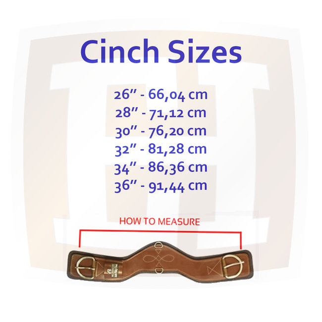 Synergy Synergy Straight Cinch with Air Flex