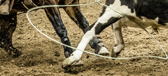 Heeler Rope