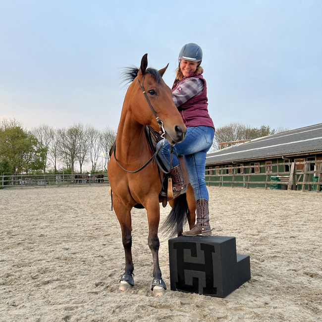 Horsesafe ASPU ASPU Horse Step Tool