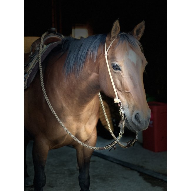 Berlin custom leather Rope Hoofdstel / Bosal Hanger