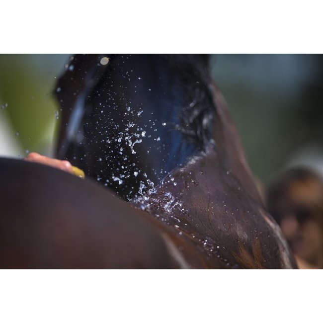 Cavalor Electroliq balance