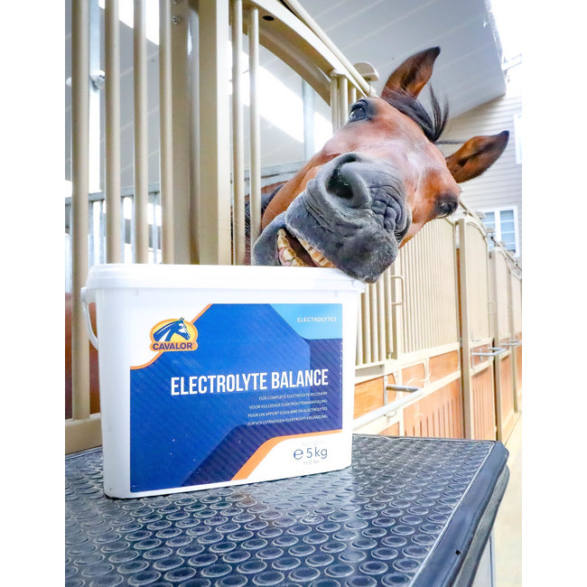 Cavalor Electrolyte Balance