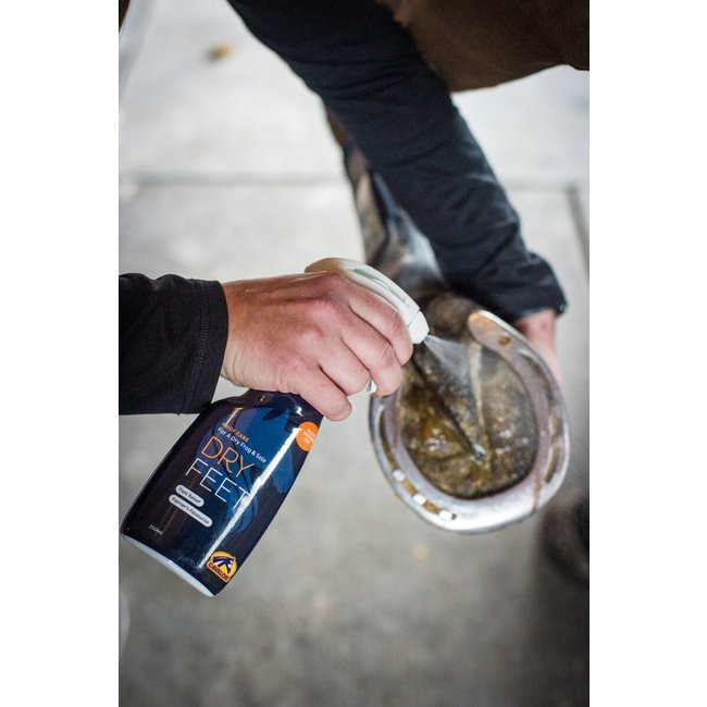 Cavalor Dry feet Natural