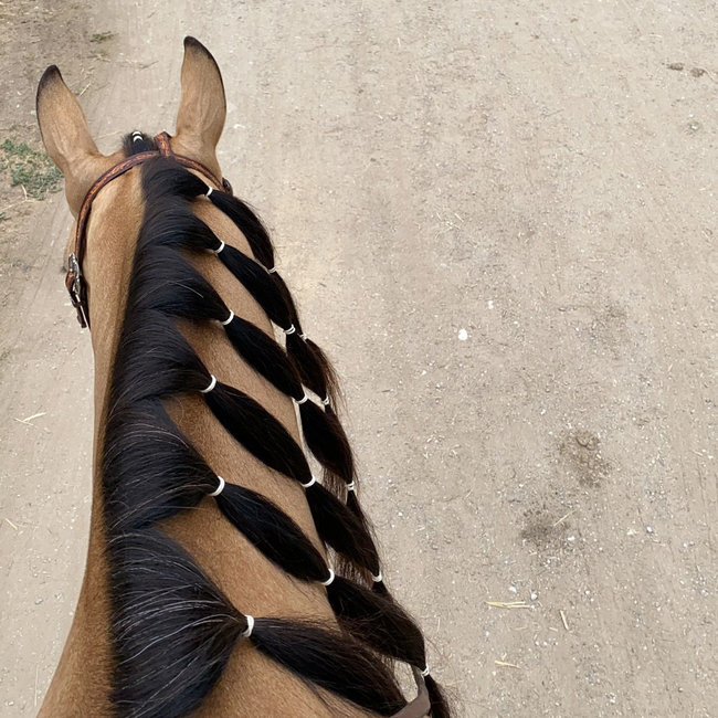Cashel Rubber staart en manen paardenelastiekjes