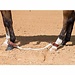 Martin Saddlery Sideline Hobbles