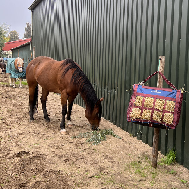 Classic Equine Topload Hay Bag