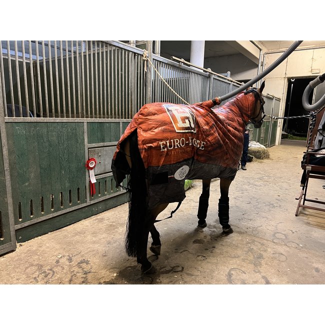 Wiper Z3c  horse dryer complete set