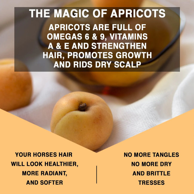 Knotty Horse Apricot Oil Treatment & Antiklit