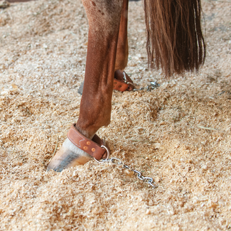 Martin Saddlery Kick Chain