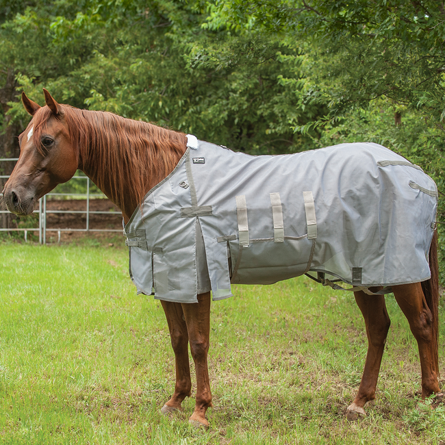 Cashel Lightweight Fly Sheet