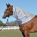 Cashel Fly Sheet Neck Guard