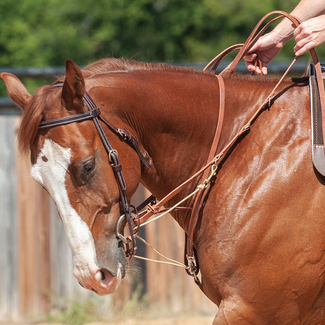 Martin Saddlery PH German Martingale