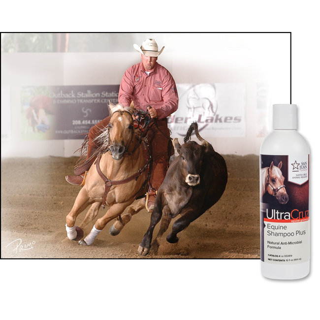 UltraCruz Equine Shampoo Plus