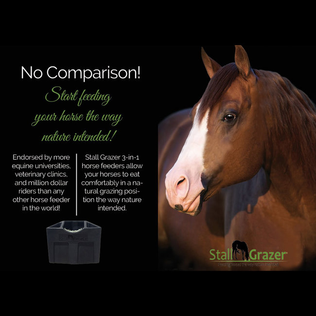 Stall Grazer 3-in-1 Junior Cube Feeder