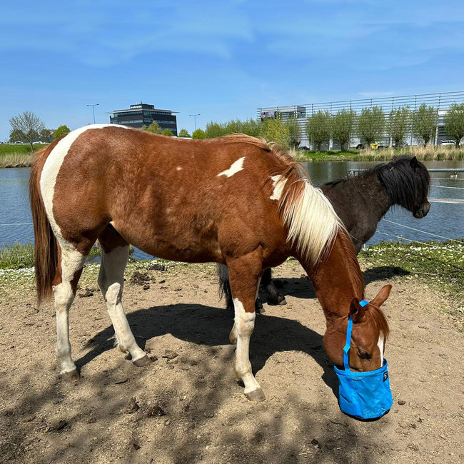 Cashel Feed Rite Bag