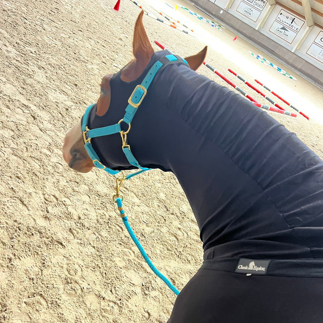 Classic Equine Classic Equine Slinky