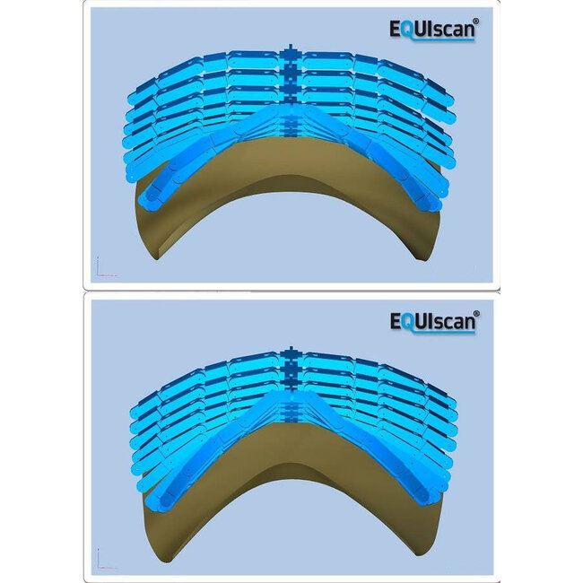 Zadelpasconsult EQUIscan Topograph Pro