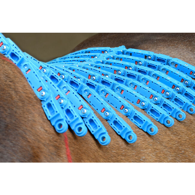 Zadelpasconsult EQUIscan Topograph Pro