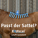Saddle fitting consultation EQUIscan Topograph Pro