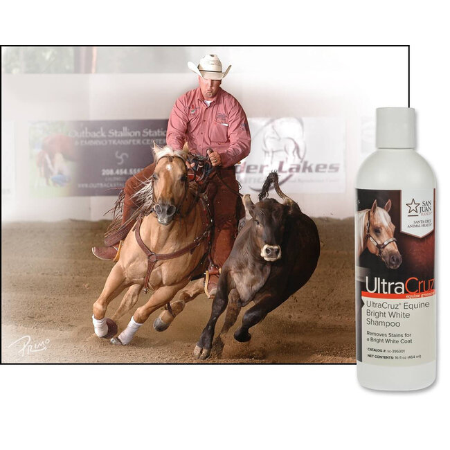 UltraCruz Equine Bright White Shampoo