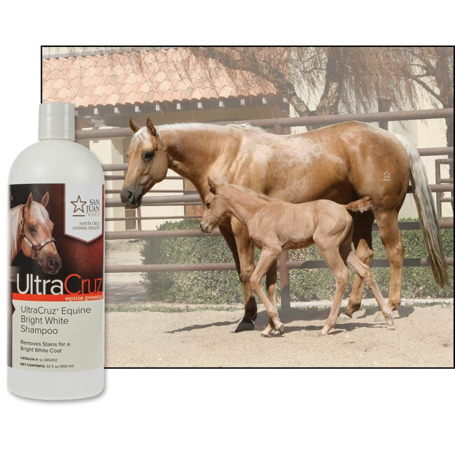 UltraCruz Equine Bright White Shampoo