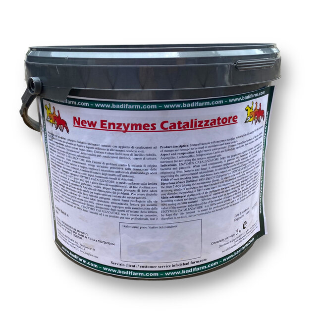 Enzymes Catalizzatore