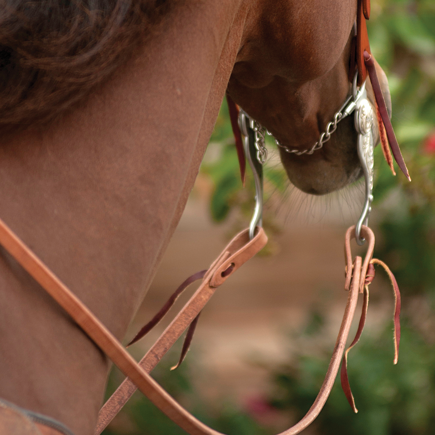 What do I need to know about WESTERNREINS - EURO-HORSE western riding  supplies
