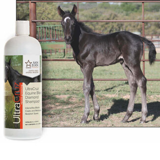 UltraCruz Equine Black Diamond Shampoo