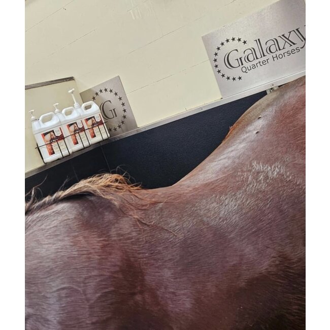 UltraCruz 1 Gallon Pump