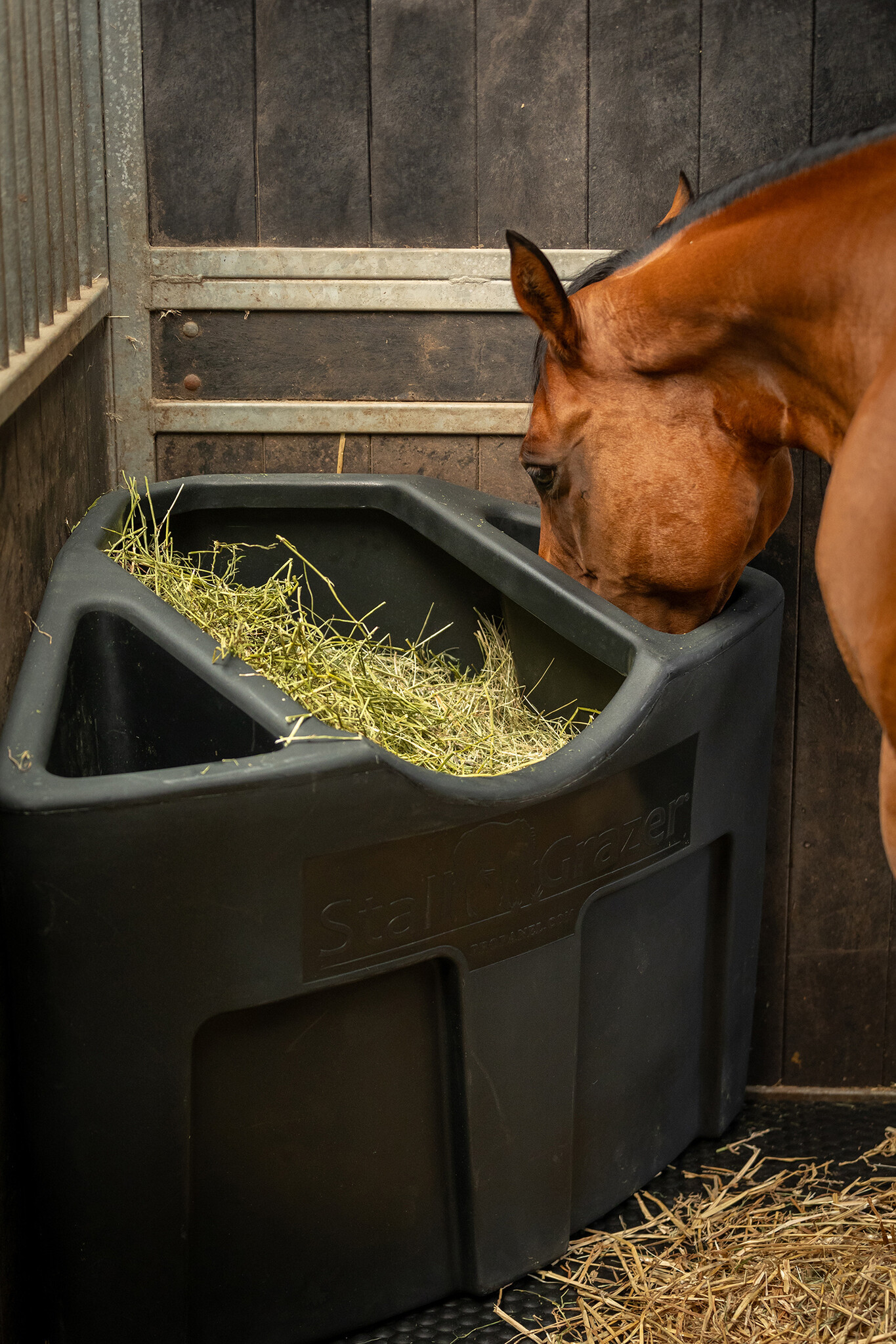 Stall Grazer 3in1 Corner Feeder Eurohorse western riding supplies