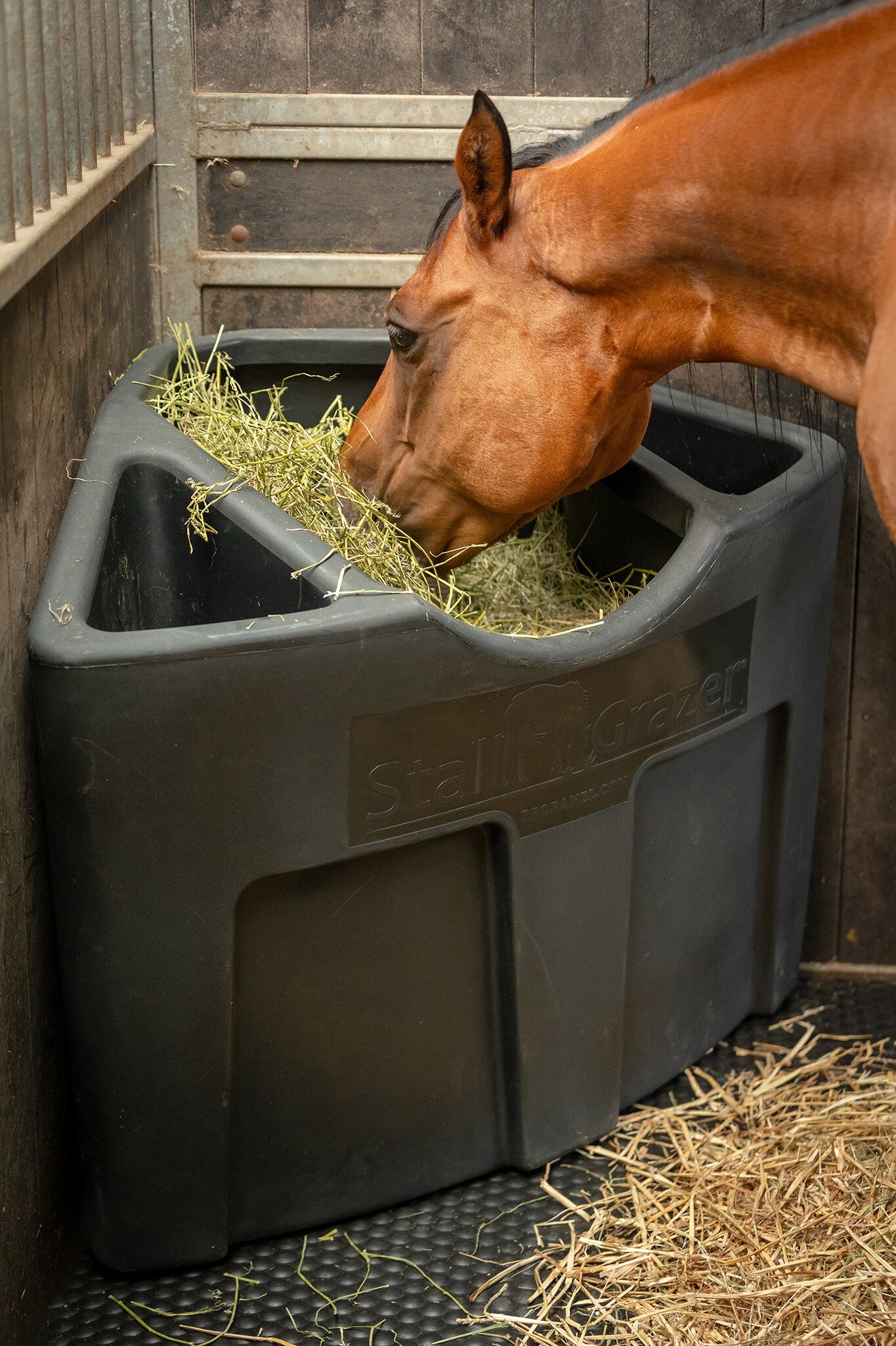 Stall Grazer 3in1 Corner Feeder Eurohorse western riding supplies
