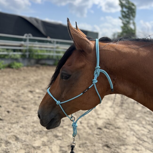 Silvertip Silvertip Transition Rope Halter met Sliding Ring