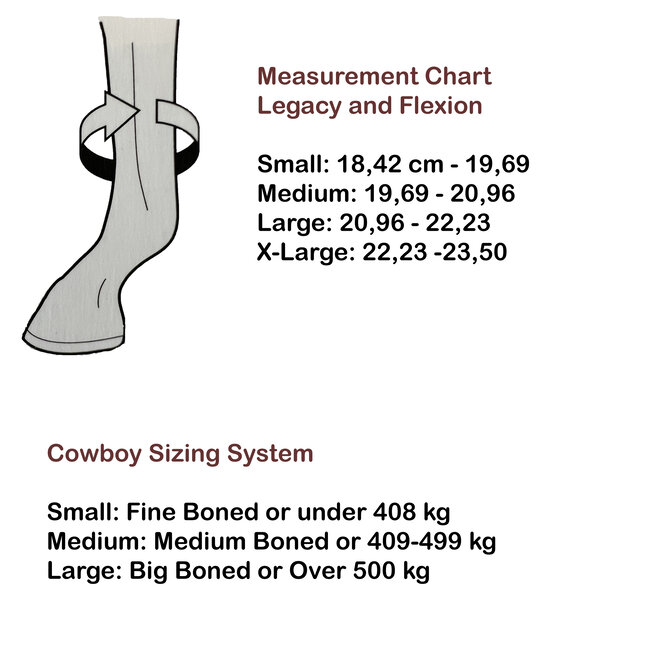 Classic Equine Legacy Boot Front