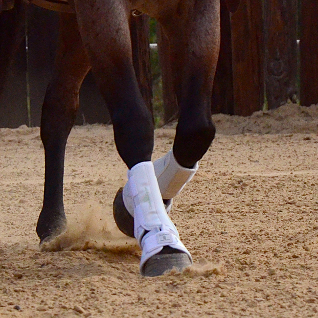 Classic Equine ProTech Splint