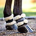 Fleece Pastern Wraps