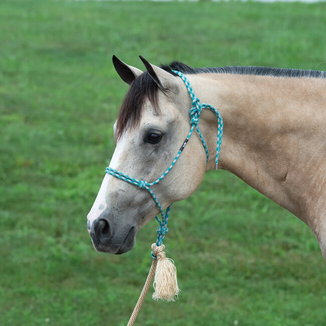 Silvertip No. 95 Rope Halter with 12' lead